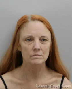 Mugshot of BRENDA LEE NARANJO booked in Virginia Beach County, Virginia on March 4, 2026