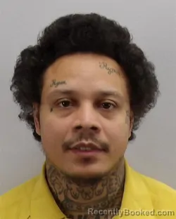 Mugshot of JEREMIAH MATTHEW SHELTON booked in Virginia Beach County, Virginia on March 13, 2026