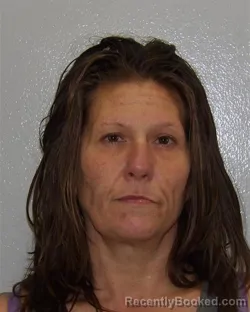 Mugshot of FAITH JUSTIN ROBERTSON booked in Virginia Beach County, Virginia on March 13, 2026