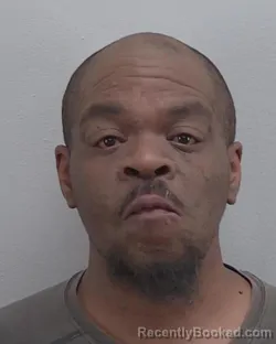 Mugshot of ZINETH ALONZO PERRY