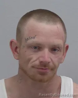 Mugshot of MICHAEL ALLEN HARRIS booked in Virginia Beach County, Virginia on March 18, 2026