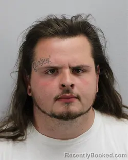 Mugshot of BRANDON KEITH CURTIS booked in Virginia Beach County, Virginia on March 20, 2026