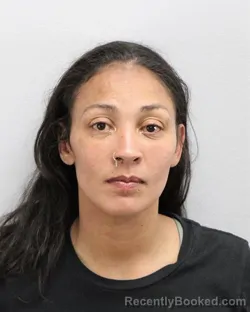 Mugshot of ASHLEY PETERSON booked in Virginia Beach County, Virginia on March 21, 2026