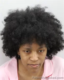 Mugshot of LINDA ANN SUTTON booked in Virginia Beach County, Virginia on March 21, 2026