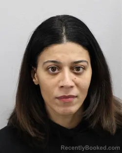 Mugshot of DIMAH MEDHAT MOHAM IBRAHIM booked in Virginia Beach County, Virginia on March 22, 2026