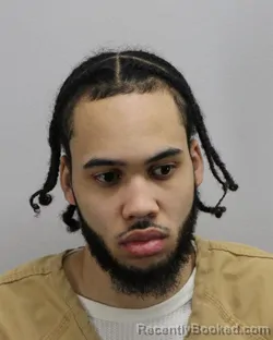 Mugshot of SHAWN LAMAR JOHNSON booked in Virginia Beach County, Virginia on March 24, 2026