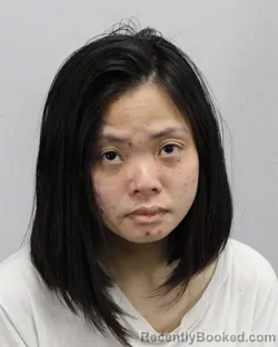 Mugshot of NGAN T DANG booked in Virginia Beach County, Virginia on March 24, 2026