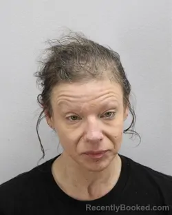 Mugshot of ASHLEY ELIZABETH MINTER booked in Virginia Beach County, Virginia on March 25, 2026