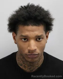 Mugshot of TYREE SHELTON JOHNSON booked in Virginia Beach County, Virginia on March 25, 2026