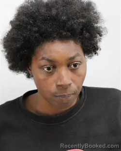 Mugshot of LAQUISHA LASHAY HUDSON booked in Virginia Beach County, Virginia on March 27, 2026