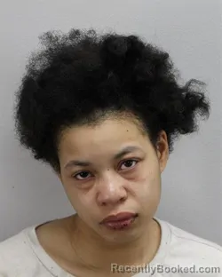 Mugshot of SHAMEIRA DEMITIRA FERRER-EVANS booked in Virginia Beach County, Virginia on March 28, 2026