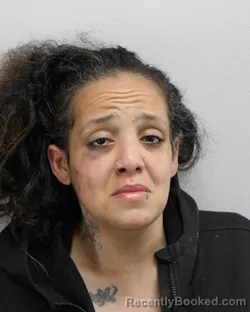 Mugshot of GABREIELLA ANN CARTER booked in Virginia Beach County, Virginia on March 29, 2026