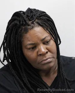 Mugshot of ASHLEY REVE JEFFERSON booked in Virginia Beach County, Virginia on March 29, 2026