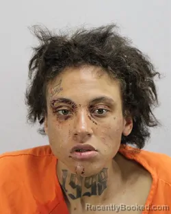 Mugshot of SERENA TAYLOR DOUCETTE booked in Virginia Beach County, Virginia on April 1, 2026