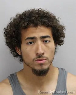 Mugshot of ROMEO ALEXANDER SHELTON booked in Virginia Beach County, Virginia on April 1, 2026