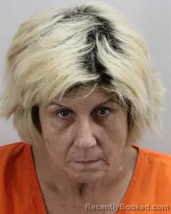 Mugshot of ALISON MARIE BRADY booked in Virginia Beach County, Virginia on April 2, 2026