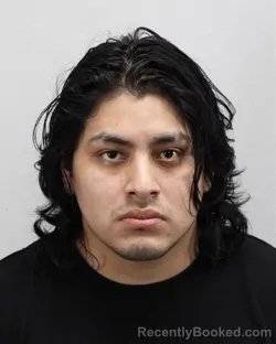 Mugshot of MARIO N RAMIREZ-LUIZ booked in Virginia Beach County, Virginia on April 5, 2026