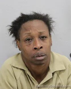 Mugshot of SUKARI TANYA ANDERSON booked in Virginia Beach County, Virginia on April 25, 2026