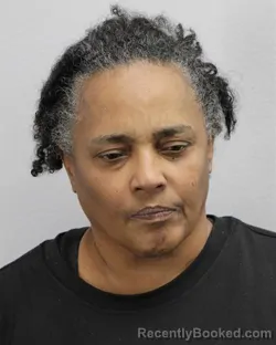 Mugshot of IVETTE FIGUEROA CRUZ booked in Virginia Beach County, Virginia on April 28, 2026