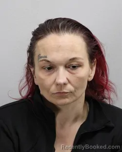 Mugshot of STARR LYNNE HAWKINS booked in Virginia Beach County, Virginia on April 29, 2026