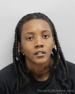 Mugshot of NAKYLYN K LAMB-REDDICK booked in Virginia Beach County, Virginia on April 29, 2026