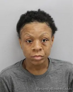 Mugshot of MONAE EYVONNE FREEMAN booked in Virginia Beach County, Virginia on April 30, 2026