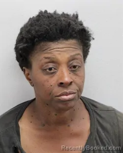 Mugshot of SHANDA SHANEL ROBINSON booked in Virginia Beach County, Virginia on May 1, 2026