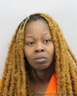 Mugshot of DESTINEE DONNELLA LECKIE booked in Virginia Beach County, Virginia on May 6, 2026