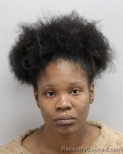 Mugshot of BRANDY LASHANAE REID booked in Virginia Beach County, Virginia on May 12, 2026