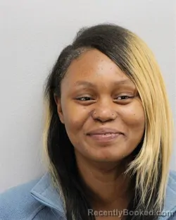 Mugshot of DESTYNI LASHAUNTA HOLLOWAY booked in Virginia Beach County, Virginia on May 13, 2026