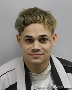 Mugshot of DOMINIQUE ACEVEDO NICHOLSON booked in Virginia Beach County, Virginia on May 15, 2026