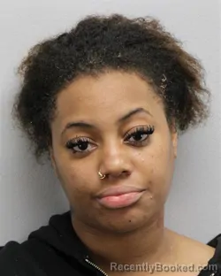 Mugshot of DEASIA MONIQUE HINES booked in Virginia Beach County, Virginia on May 20, 2026