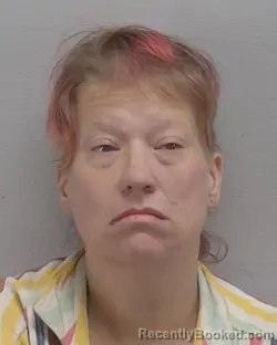 Mugshot of TANYA LUCILLE HARDESTY booked in Virginia Beach County, Virginia on May 22, 2026