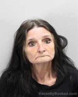 Mugshot of ELIZABETH DARLENE MURPHY booked in Virginia Beach County, Virginia on June 17, 2026