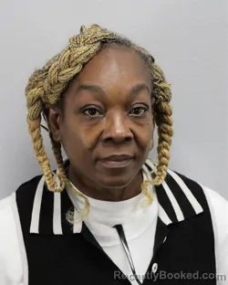 Mugshot of PAMELA JOSETTE INGRAM PERSON booked in Virginia Beach County, Virginia on June 18, 2026