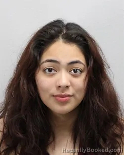 Mugshot of ARLETH BANEGAS CARRISOZA booked in Virginia Beach County, Virginia on June 19, 2026