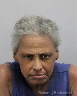 Mugshot of LARNICE YVETTIE LOGAN booked in Virginia Beach County, Virginia on June 19, 2026