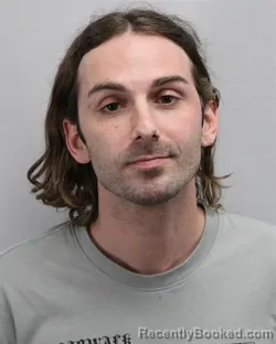 Mugshot of ANTHONY MICHAEL NARDELLI-ALLAN booked in Virginia Beach County, Virginia on June 20, 2026