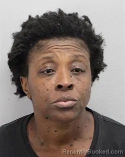 Mugshot of SHANDA SHANEL ROBINSON booked in Virginia Beach County, Virginia on June 22, 2026