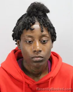 Mugshot of NATASHA NICHOLE BROWN booked in Virginia Beach County, Virginia on June 22, 2026