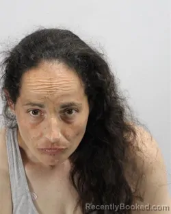 Mugshot of DANIELLE KATHERINE HEWITT booked in Virginia Beach County, Virginia on June 23, 2026