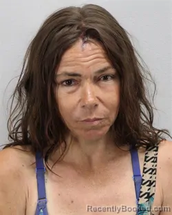 Mugshot of SHANNON MARIE PAUL booked in Virginia Beach County, Virginia on June 24, 2026