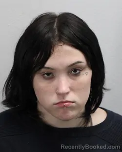 Mugshot of ALYSSA MARIE EDWARDS booked in Virginia Beach County, Virginia on July 1, 2026