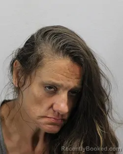 Mugshot of DANIELLE RENAY NIXON booked in Virginia Beach County, Virginia on July 2, 2026