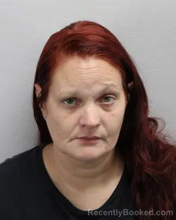 Mugshot of BRITTANY APRIL HOLLOWAY booked in Virginia Beach County, Virginia on July 9, 2026