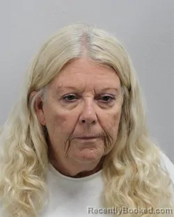 Mugshot of CHRISTINE DONOGHUE HOUSE booked in Virginia Beach County, Virginia on July 14, 2026