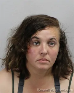 Mugshot of DONNA ELIZABETH LAWRENCE booked in Virginia Beach County, Virginia on August 3, 2026