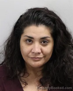 Mugshot of Angelica Livia Nicole Castro booked in Virginia Beach County, Virginia on August 13, 2026