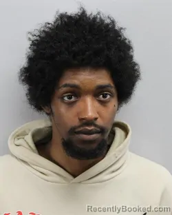 Mugshot of Devine Monroe Alvin Williams booked in Virginia Beach County, Virginia on August 15, 2026