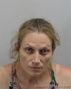 Mugshot of Casey Ann Nippert booked in Virginia Beach County, Virginia on August 19, 2026